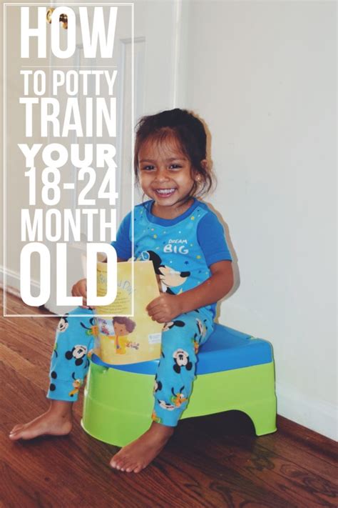 How to Potty Train your 18-24 Month Old - The Hady Life | Potty ...