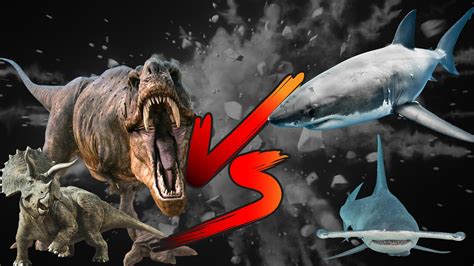 Dinosaurs Vs Sharks! Which is better? - Blue Planet Aquarium