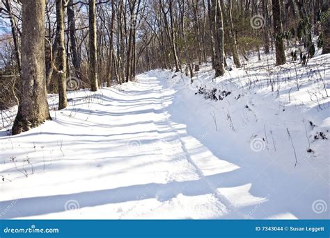 Sled Tracks in the Snow stock photo. Image of natural - 7343044