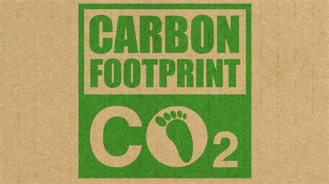 Carbon footprint labels on products: A guide for consumers and businesses