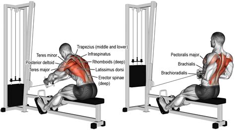 Comment effectuer le tirage verticale prise serré ? | Cable workout ...