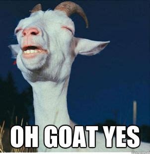 OH GOAT YES | Guilty Pleasure Goat | Know Your Meme