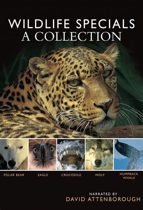 BBC Wildlife Specials - DVD PLANET STORE