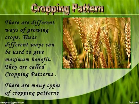 Cropping Pattern