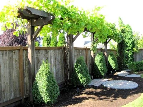 treille a vigne en décoration de votre jardin | Garden trellis designs, Garden trellis, Vine trellis