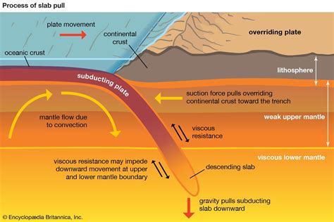 Burial Metamorphism Basin