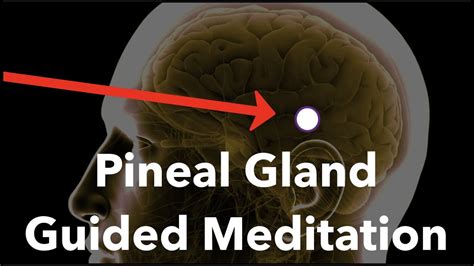 Pineal Gland Guided Meditation | Navigating the Shift - YouTube