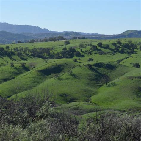 Upper Las Virgenes Canyon Open Space Preserve: West Hills’ Hidden Gem ...