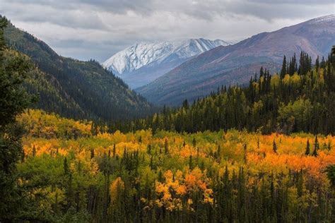 Le parc national et réserve de Denali National Park Lodges, Parc ...