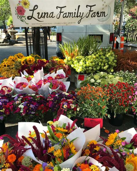 The Best Farmers Markets in NYC for Flowers - Petal Republic