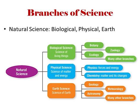 11 best Science images on Pinterest | Science worksheets, Science fair and Earth science