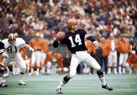 Ken Anderson Photo Galleries | Bengals football, Nfl history, Retro sports