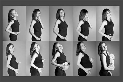 Pregnant with twins belly progression edit – Telegraph