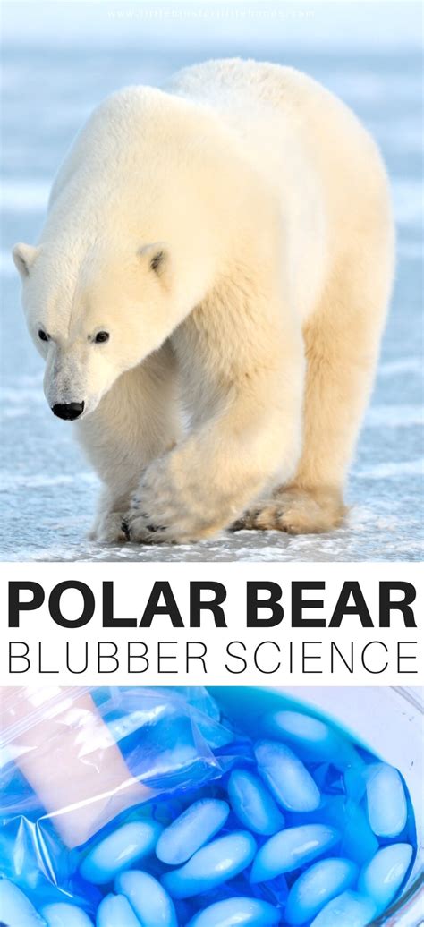 Polar Bear Bubble Experiment | Little Bins for Little Hands