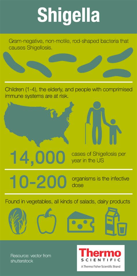 Fact sheet on Shigella