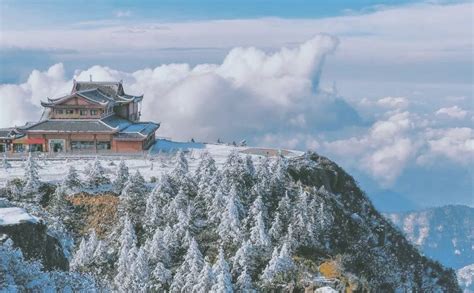 整个微博都沸腾了！奔赴峨眉山看雪景，是对这个冬日的基本尊重！_凤凰网