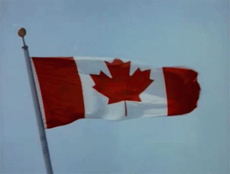 Canada Canadian Flag GIF - Canada Canadian Flag Canada Day - Discover ...