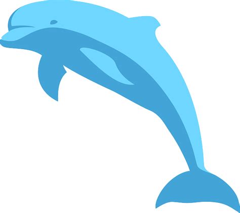 Download Dolphin, Blue, Jumping. Royalty-Free Vector Graphic - Pixabay