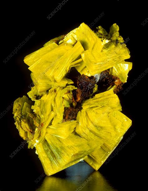 Aggregate of yellow autunite crystals - Stock Image - E425/0318 ...