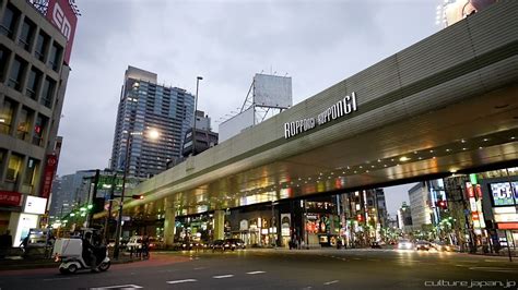 Roppongi And Akasaka | Roppongi, Nightlife district, Night life