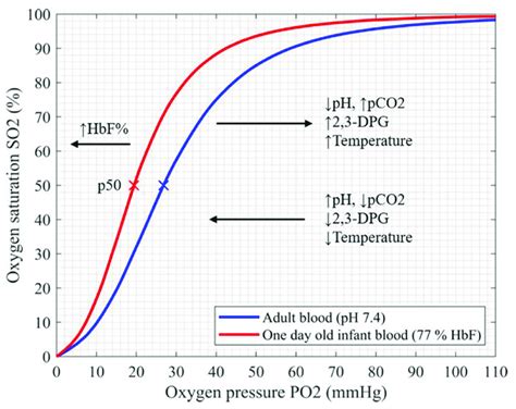 Oxyhemoglobin dissociation curve of fetal and adult hemoglobin shows ...