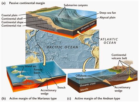 Passive Margin Diagram