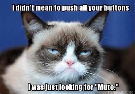 Mute button | Funny cat memes, Funny grumpy cat memes, Grumpy cat humor