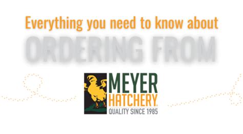 Place Your 2025 Chick Order Now! | Meyer Hatchery Blog