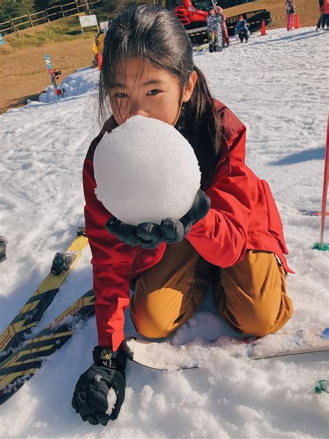 Rokko Snow Park, Kobe Chinatown, and Karaoke Night - Living in the Moment