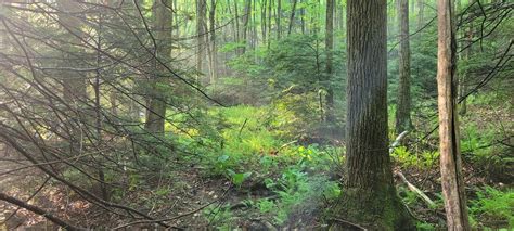 Camping & Hiking along the Appalachian Trail : r/camping