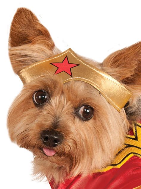 Wonder Woman Pet Costume S-XL - Sunbury Costumes