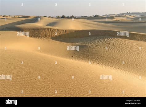 Sand dunes in Thar desert. Jaisalmer. Rajasthan India Stock Photo - Alamy