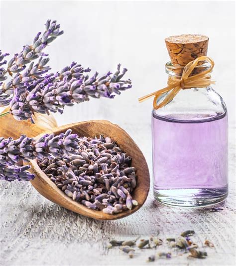 Lavender Oil For Hair – How To Use, Benefits, & Side Effects