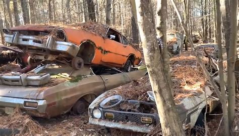 Abandoned Forest Junkyard Looks Like a Classic Car Ghost Town ...