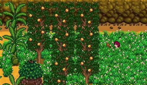 Stardew Valley: The Best Fruit Trees (All 8 Ranked) – FandomSpot