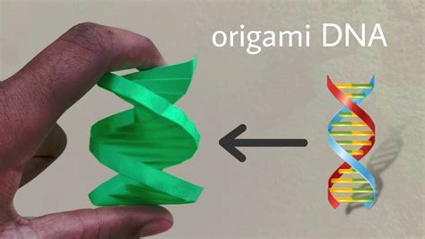 Origami DNA Model!![Easy Origami] - YouTube