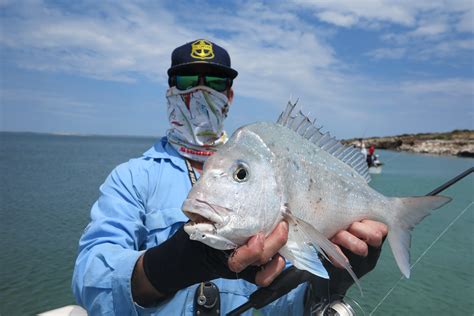 Shark Bay Fishing / Steep Point