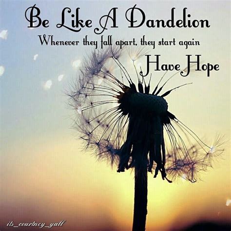 Dandelion Quotes - ShortQuotes.cc