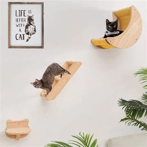 Cat Wall Shelves Cat Wall Funiture Cat Wall Cat Shelf 3 - Etsy