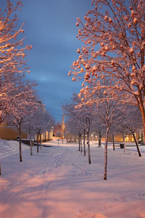 Winter morning at campus Östersund - a photo on Flickriver