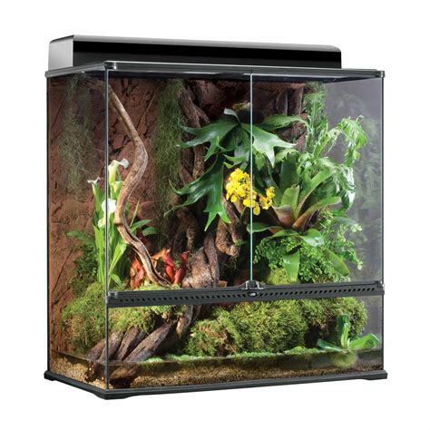 Exo-Terra High Glass Terrarium, 36" L X 18" W X 36" H | Petco