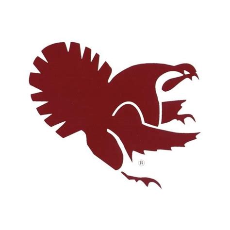 fighting gobbler - Google Search | Hokies, Virginia tech hokies, Virginia tech