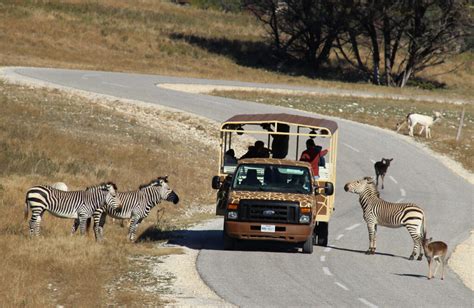 Tickets – RR Pick 4 – Fossil Rim Wildlife Center