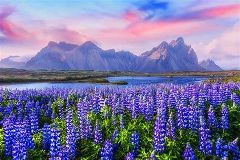 Stokksnes Peninsula - Iceland Travel Guide