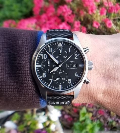 Owner Review: IWC Pilot's Watch Chronograph 41 C.03 - FIFTH WRIST