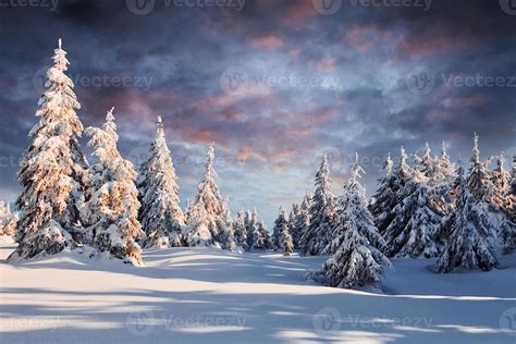 Beautiful winter majestic landscape with snow on trees. Wild nature 15288603 Stock Photo at Vecteezy