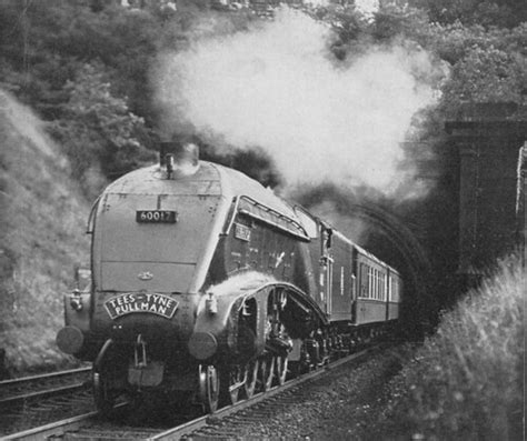 LNER A4 'Silver Fox' 1956 | LNER Class A4 'Silver Fox' No 60… | Flickr