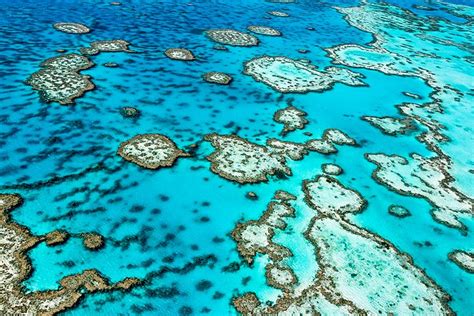 Visiting the Great Barrier Reef: 11 Top-Rated Attractions & Things to ...