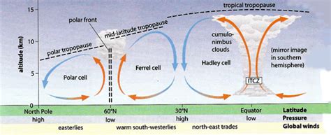 Atmospheric circulation - Weather Worked Out