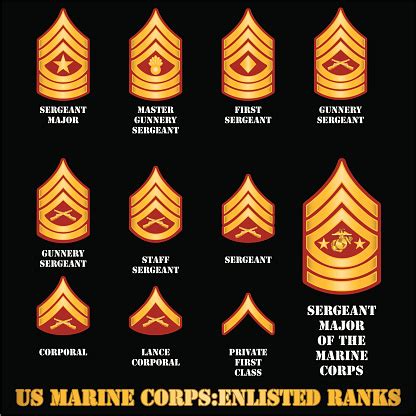 Us Marine Corps Enlisted Ranks Stock Illustration - Download Image Now ...